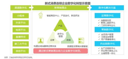 新消费连锁品牌如何盈在未来——安盾网艾勇于2021中国数字创新年会分享